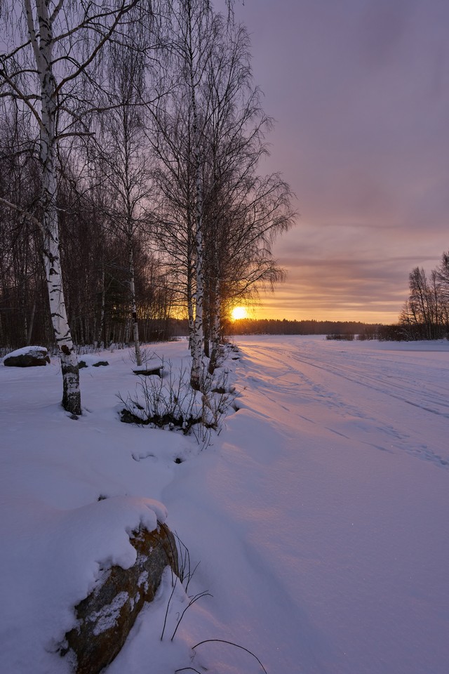 Sigma 15mm f1.4 DC_29w.jpg