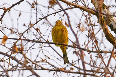 Sony FE 400mm f4.5_blogg4.jpg