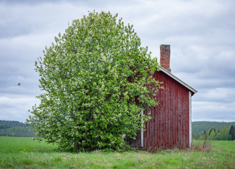 DSCF7708k.jpg