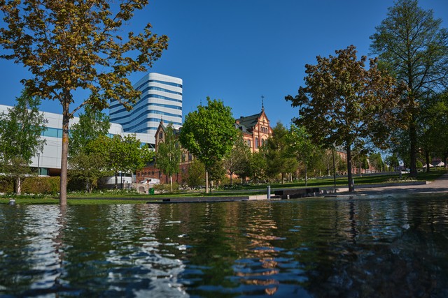 Fujifilm XF 16-50mm_6w.jpg