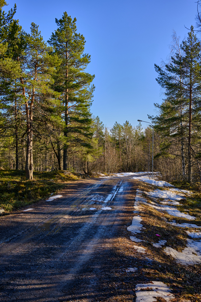 Fujifilm X100V_4w.jpg
