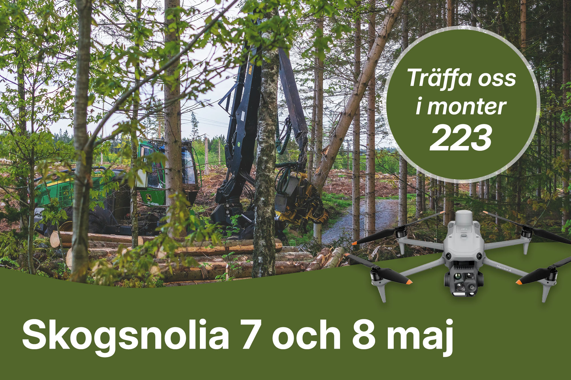 Skogsnolia2026_blogg.jpg
