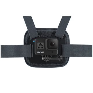 Chesty (2018) Chest mount