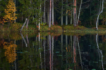 Viltrox 56mm f1.2_blogg4.jpg