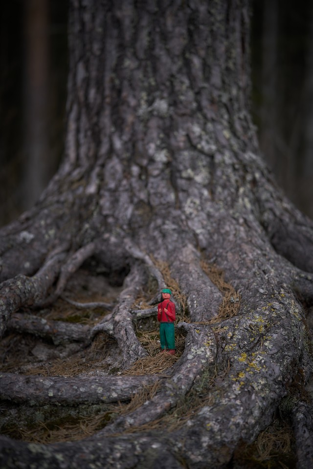 Samyang 85mm f1.8 P_11w.jpg