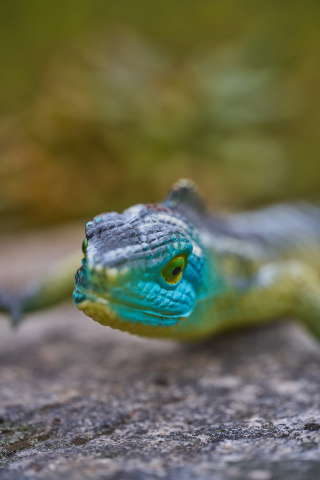Laowa 58mm Macro 2x_16w.jpg