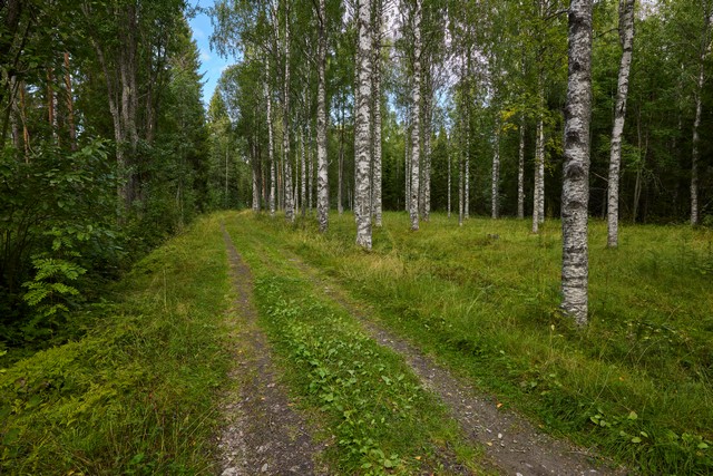 Canon RF 20mm f1.4 VCM_12w.jpg