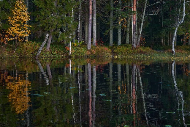 Viltrox 56mm f1.2_9w.jpg