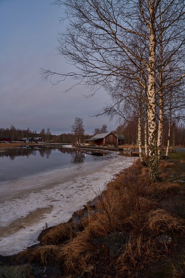 Tamron 25-200mm_7w.jpg