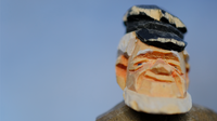 Fujifilm Fujinon XF 60/2,4 R Macro