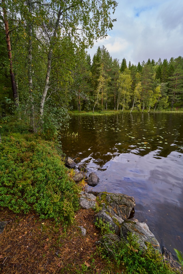 Samyang 16mm f2.8_18w.jpg