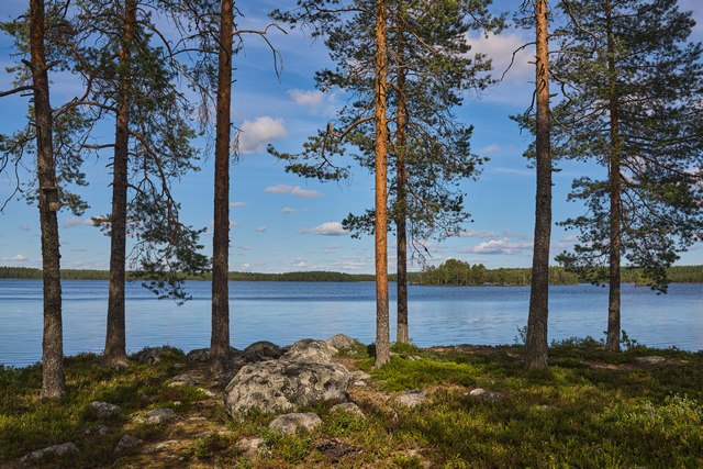 Sony RX1R mk3_3w.jpg