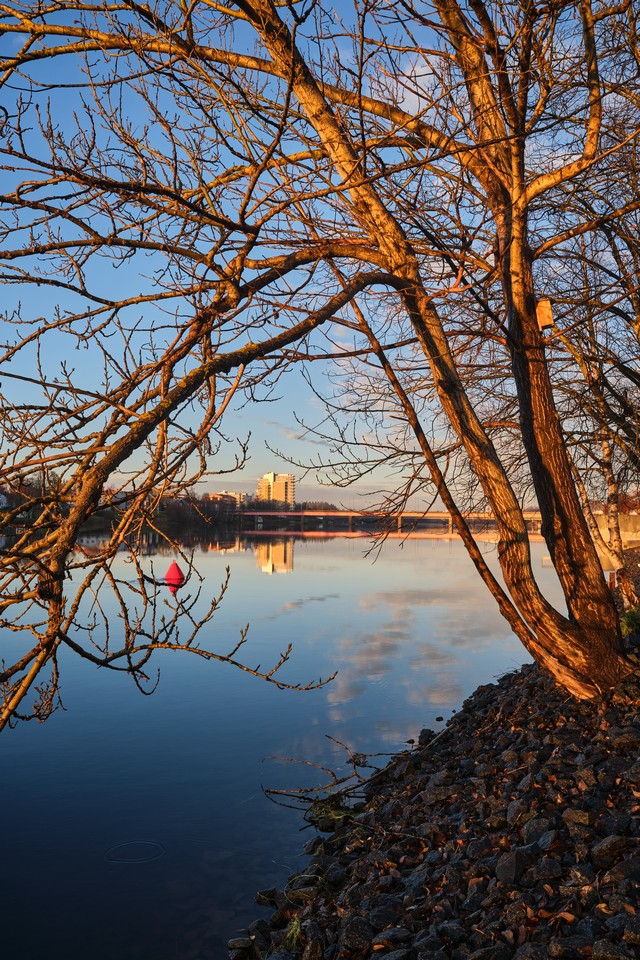 Fujifilm X-T30 III_15w.jpg