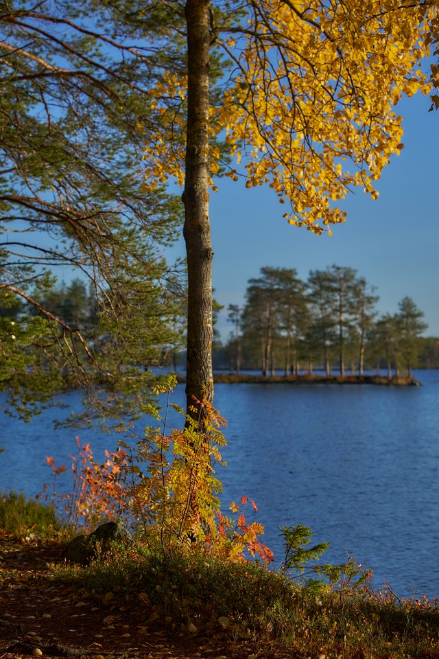 Viltrox 56mm f1.2_13w.jpg