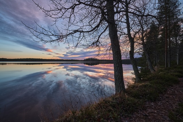 Canon EOS R6 Mark III_5w.jpg