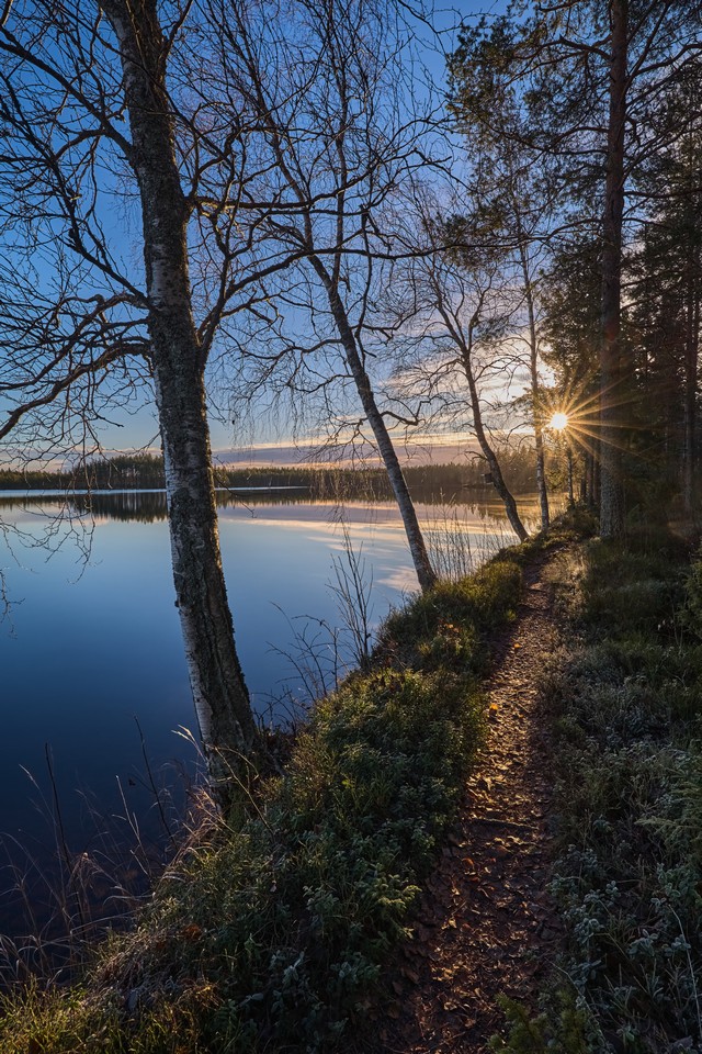 Canon EOS R6 Mark III_15w.jpg