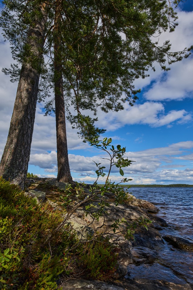 Canon RF 20mm f1.4 VCM_8w.jpg