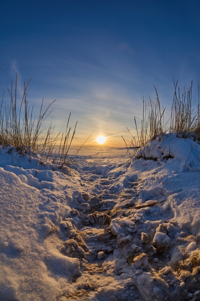 Canon RF 7-14mm_20w.jpg