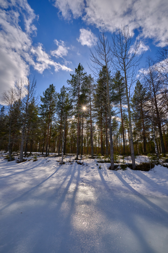 Fujifilm X-T4_1w.jpg