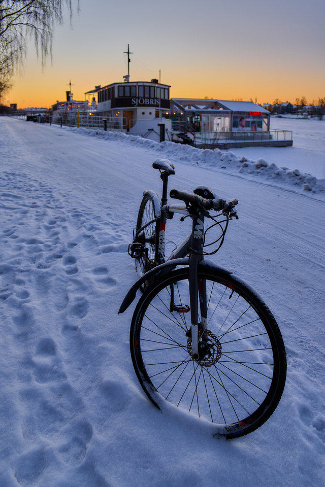 Panasonic S1 MK2_5w.jpg