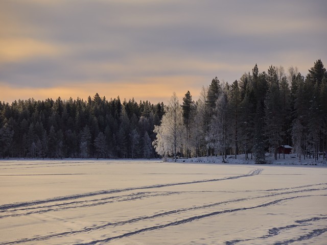 OM System OM 5 II_20w.jpg