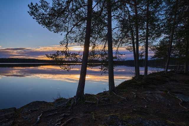 Canon EOS R6 Mark III_13w.jpg