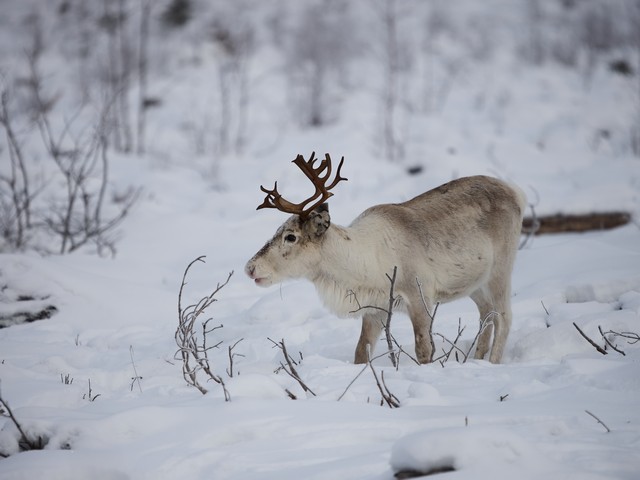 OM System 50-200mm f2.8_31w.jpg