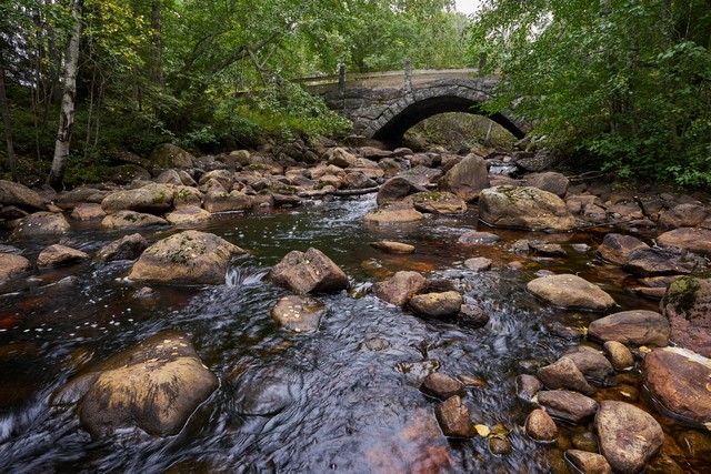 Sigma 12mm f1.4 C_5w.jpg