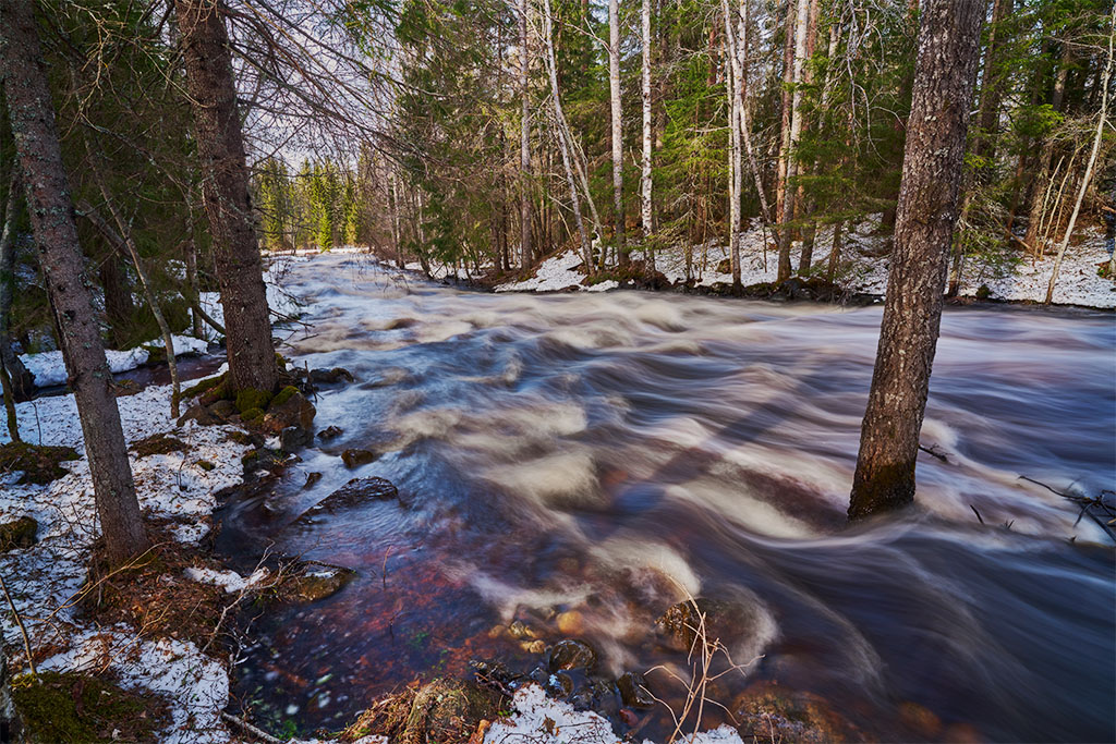 Sigma 17mm f4_blogg.jpg