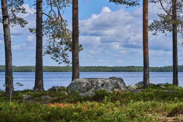 Samyang 85mm f1.4 FE II_31w.jpg