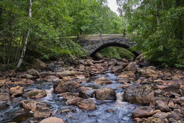 Sony RX1R III_15w.jpg