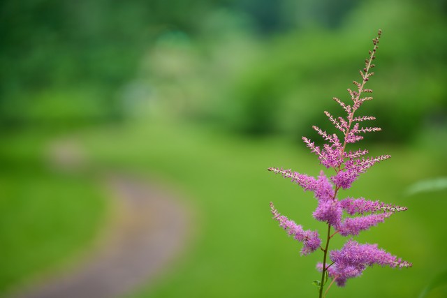 Viltrox 75mm f1.8 EVO_15w.jpg