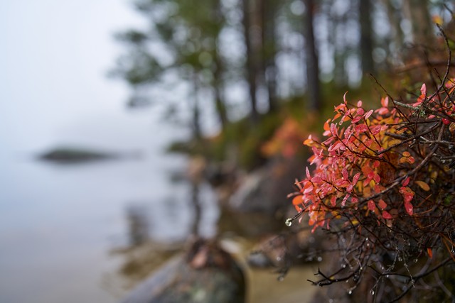 Sigma 35mm f1.2 II_13w.jpg