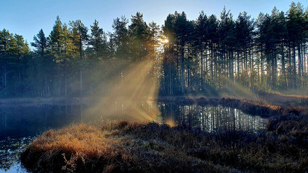 20221110_114756_blogg.jpg