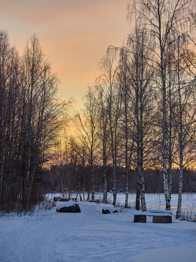 OM System 50-200mm f2.8_22w.jpg