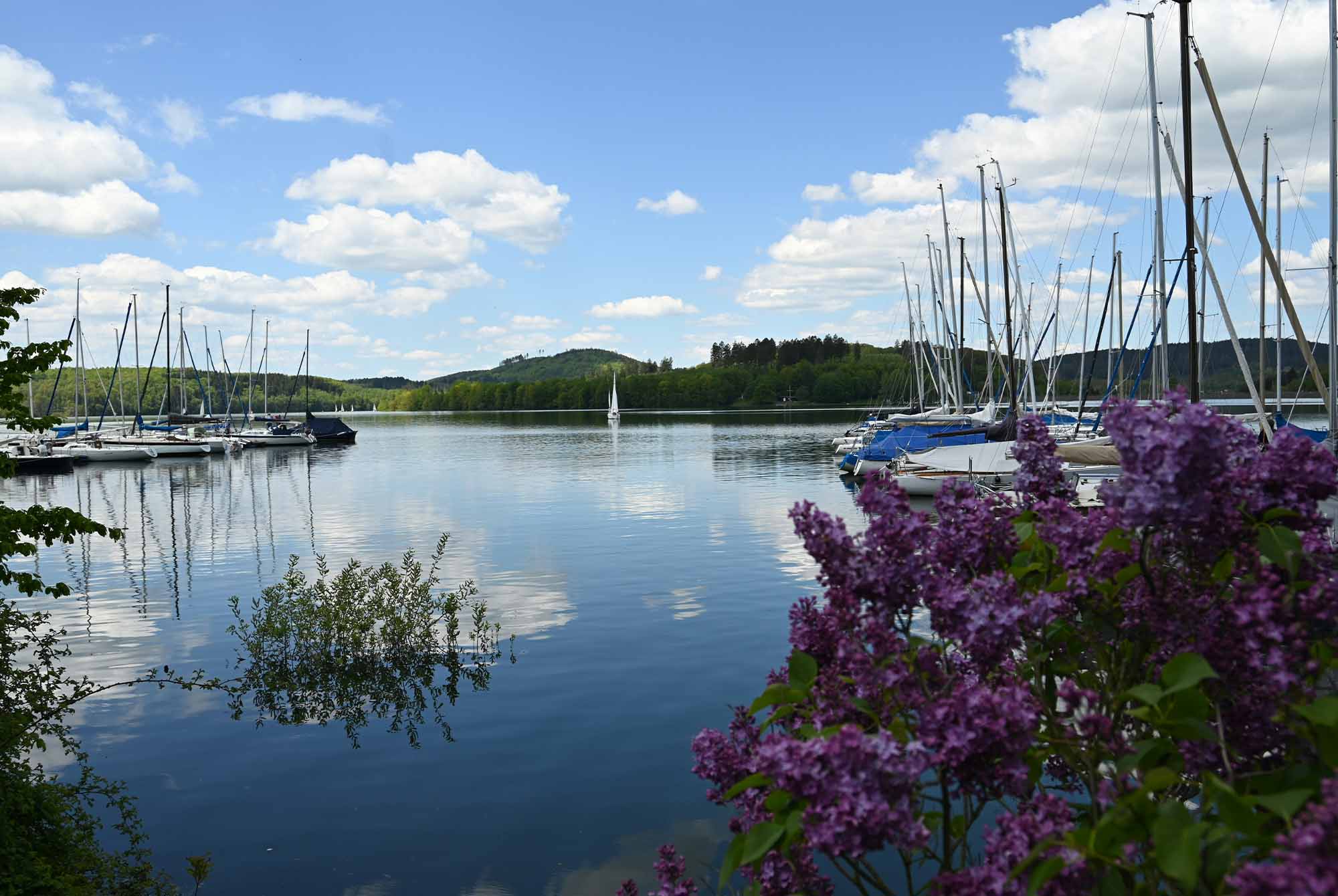 Nikonsommar.jpg