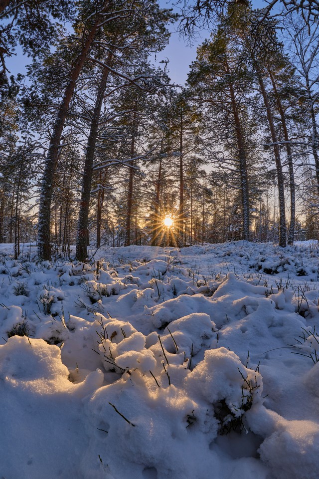 Canon RF 7-14mm_19w.jpg