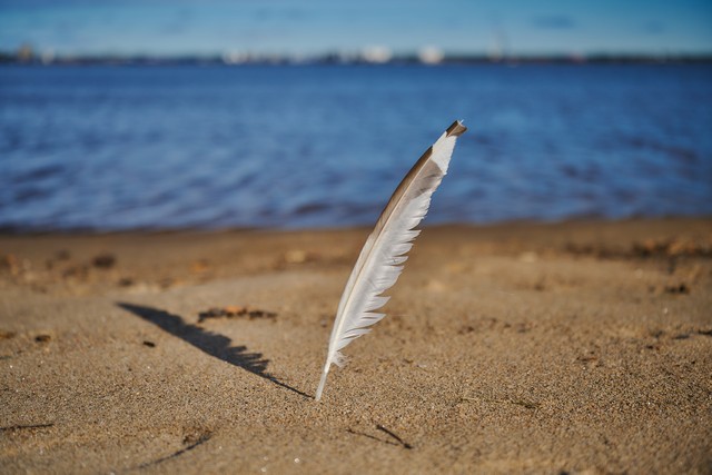 Nikon Z 24-70mm f2.8 II_16w.jpg