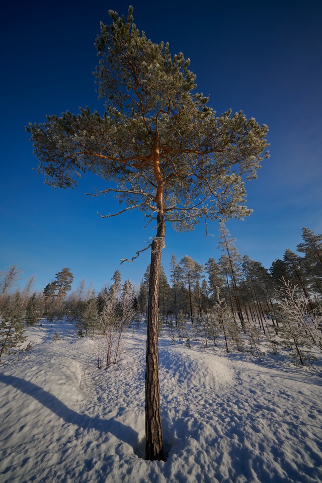 Laowa 10mm f2.8_23w.jpg