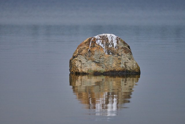 Sony FE 100-400mm f4.5_30w.jpg