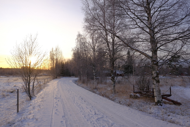 Fujifilm_X Pro3_24w.jpg