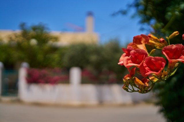 Viltrox 50mm f2_27w.jpg