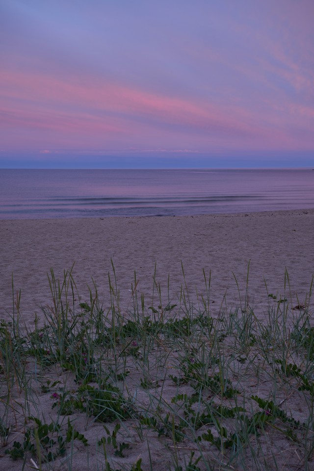 Canon RF 20-50mm f4_6w.jpg