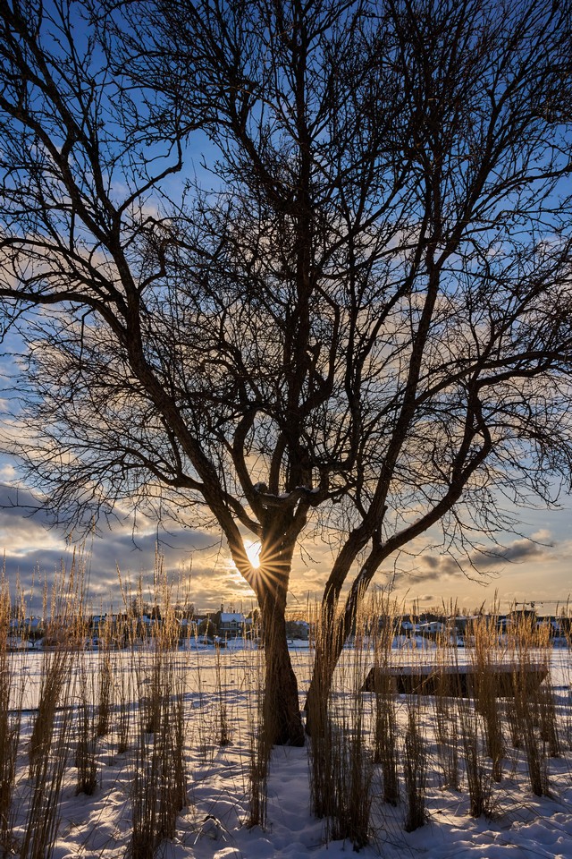 Sigma 15mm f1.4 DC_10w.jpg