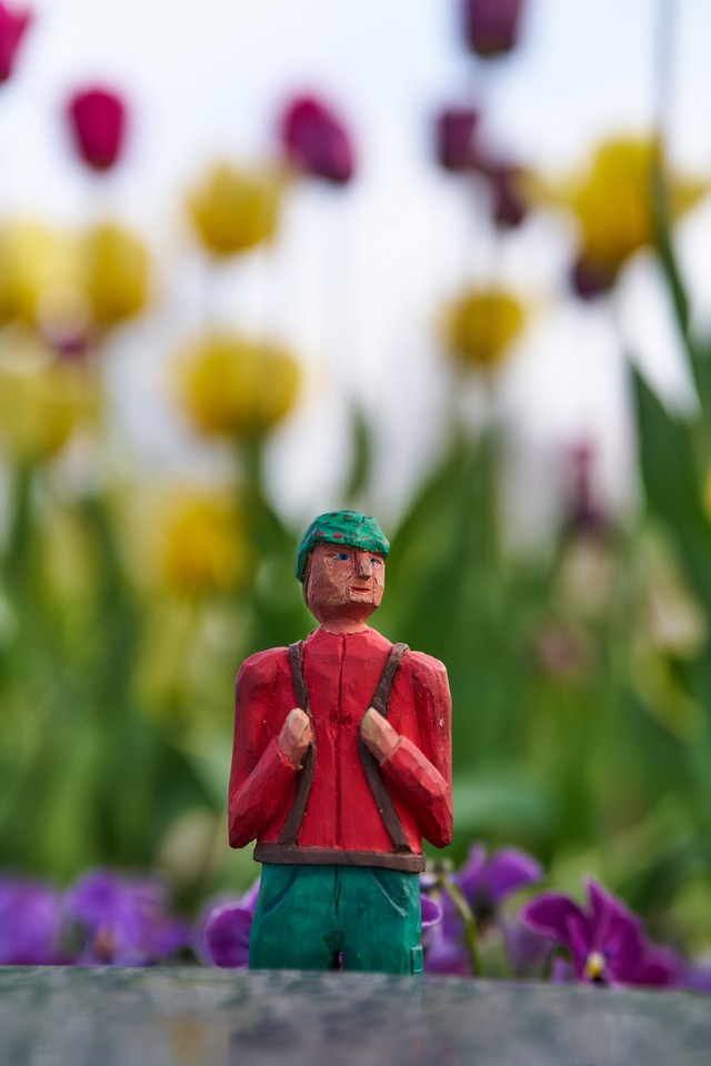 Viltrox 55mm f1.8 EVO_10w.jpg