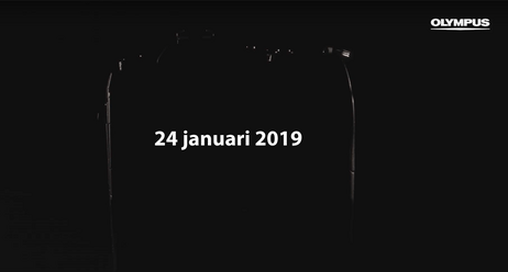 2019.png