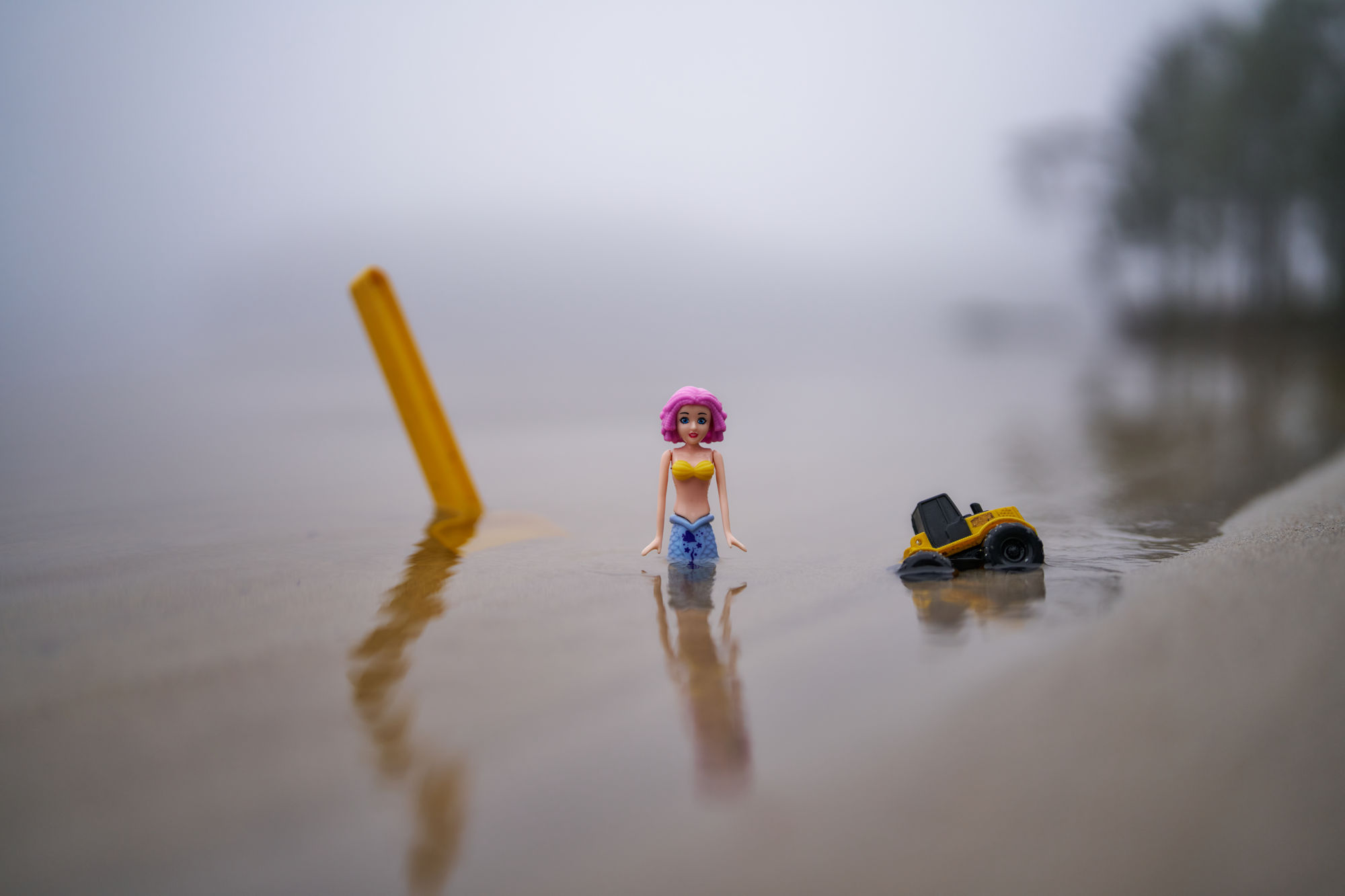 Sigma 35mm f1.2 II_blogg1.jpg