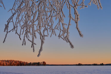 Nikon Z 24-105 f4-7.1_blogg1.jpg