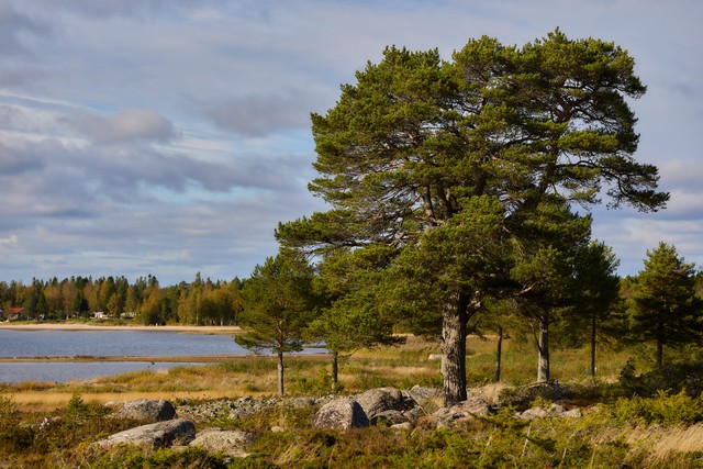 Canon RF 85mm f1.4 VCM_3w.jpg