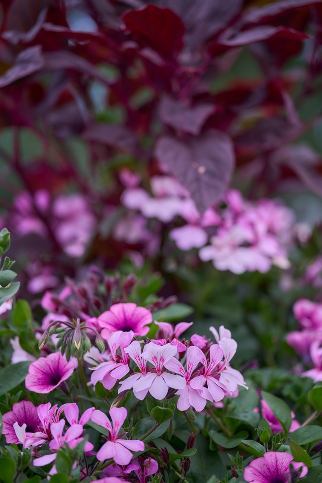 Viltrox 75mm f1.8 EVO_34w.jpg